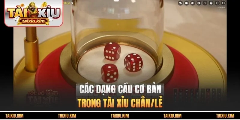 Các dạng cầu cơ bản trong tài xỉu chẵn/lẻ
