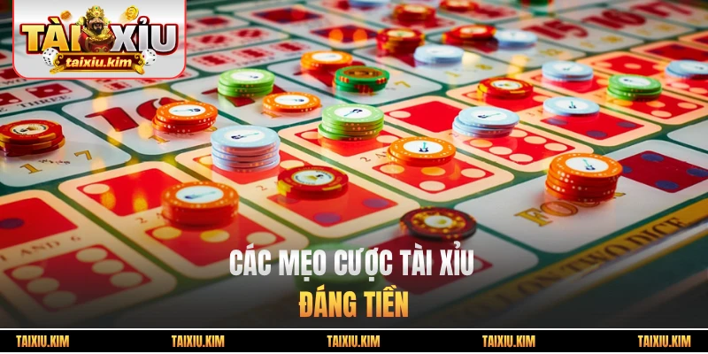 Các mẹo cược tài xỉu đáng tiền