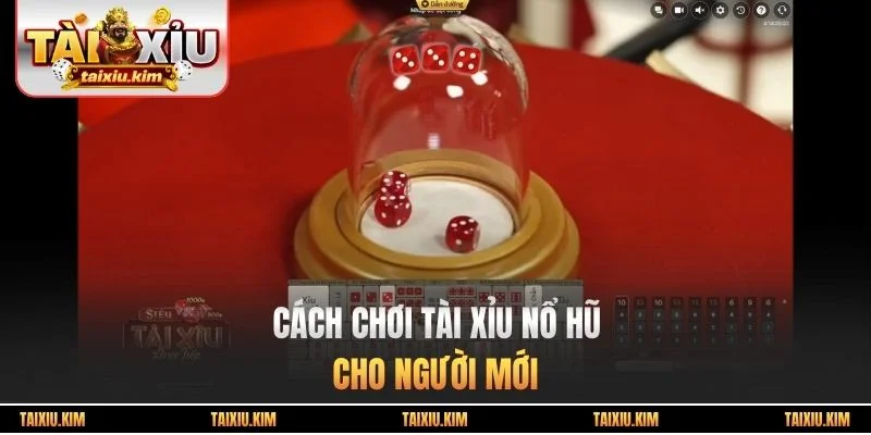 Cách chơi tài xỉu Nổ Hũ cho người mới