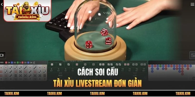 Cách soi cầu tài xỉu Livestream đơn giản