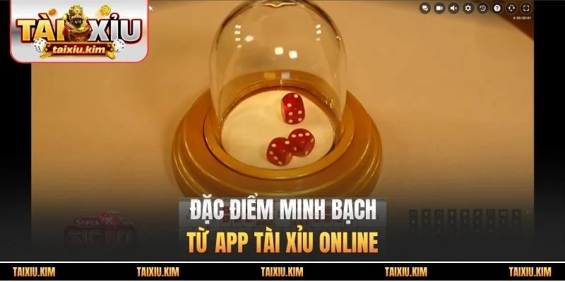 Đặc điểm minh bạch từ app tài xỉu online
