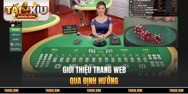 Giới thiệu trang web qua định hướng