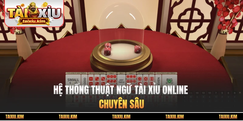 Hệ thống thuật ngữ Tài Xỉu online chuyên sâu
