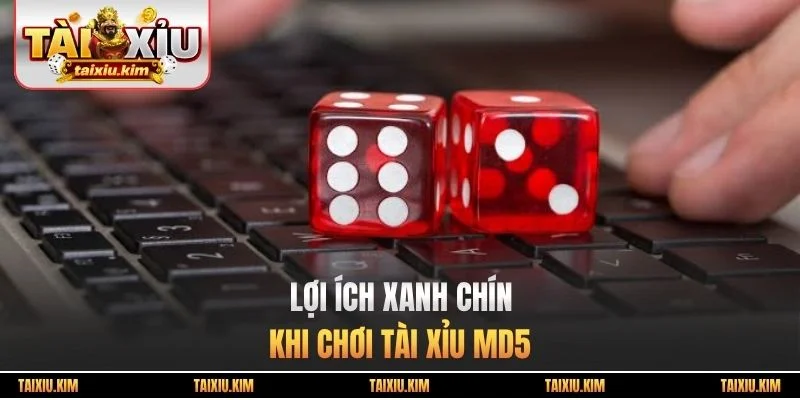 Lợi ích xanh chín khi chơi tài xỉu MD5