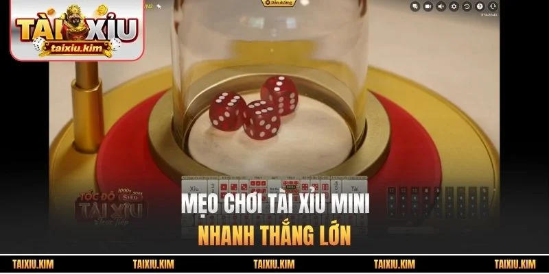 Mẹo chơi tài xỉu Mini nhanh thắng lớn