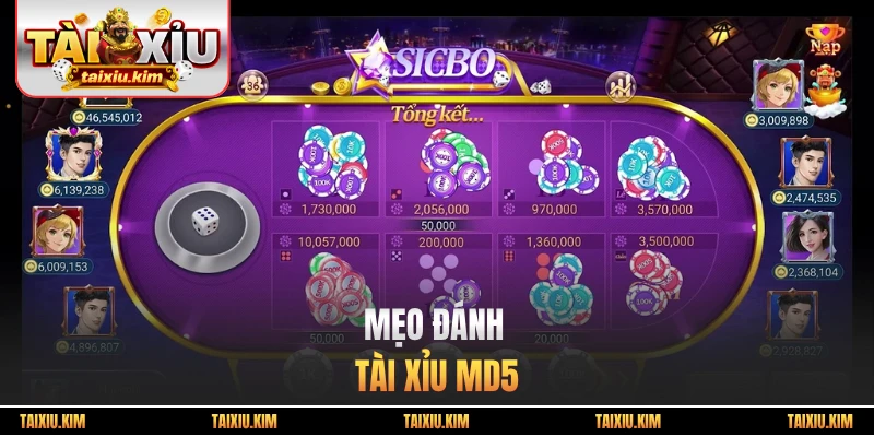 mẹo đánh tài xỉu MD5 hay
