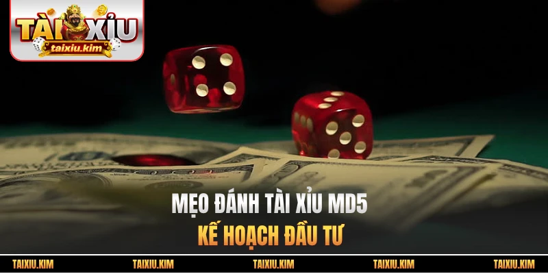 Mẹo đánh tài xỉu MD5 - Kế hoạch đầu tư thông minh