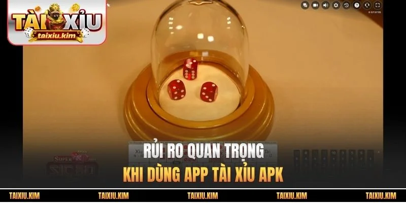 Rủi ro quan trọng khi dùng app tài xỉu apk
