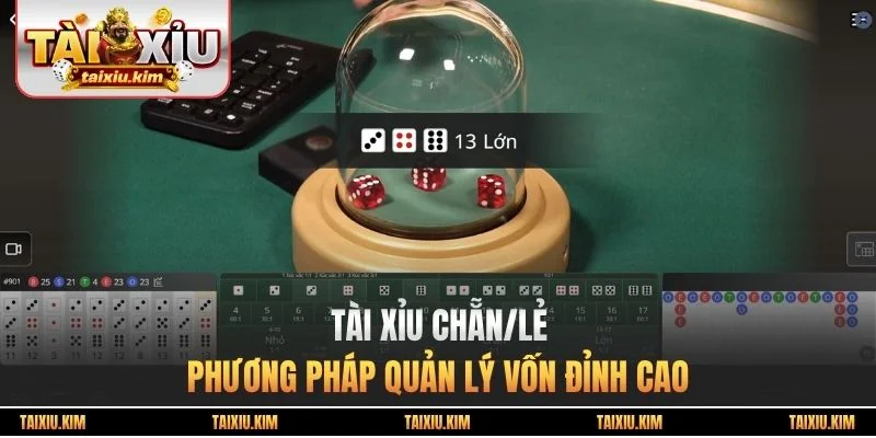 Tài Xỉu Chẵn/Lẻ - Phương Pháp Quản Lý Vốn Siêu Đỉnh Cao