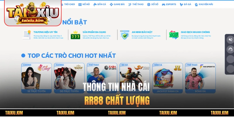 Thông tin nhà cái RR88 chất lượng