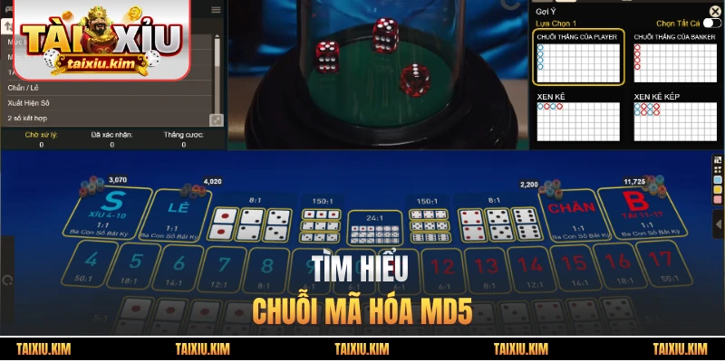Tìm hiểu chuỗi mã hóa MD5